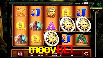 Cassino ao vivo com dealers reais na moovbet